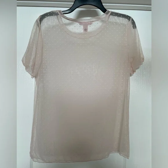 Victoria’s Secret short sleeve picot dot mesh top size Large- ballet pink - Picture 3 of 5